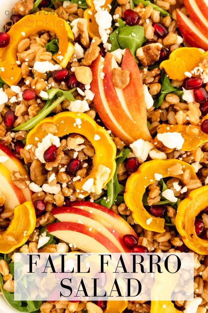 best healthy farro salad with delicata squash