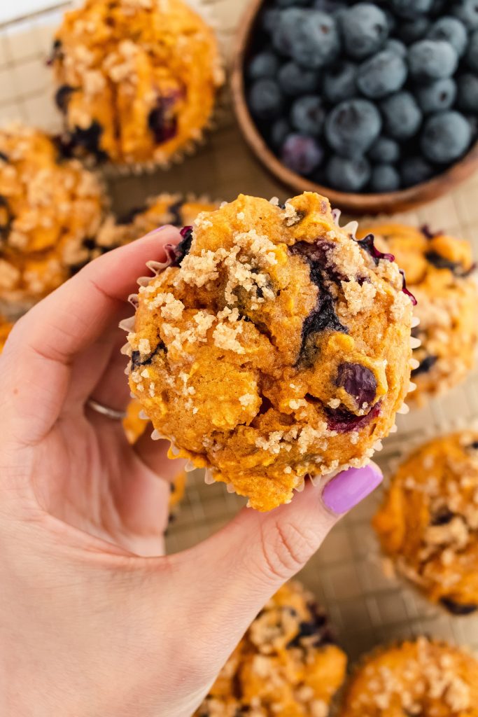 best pumpkin blueberry muffins 