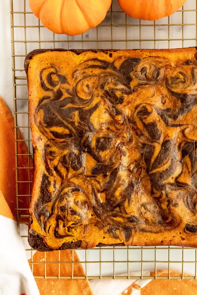best pumpkin swirl brownies 