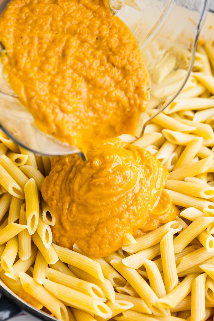 Blender Pumpkin Pasta Sauce 