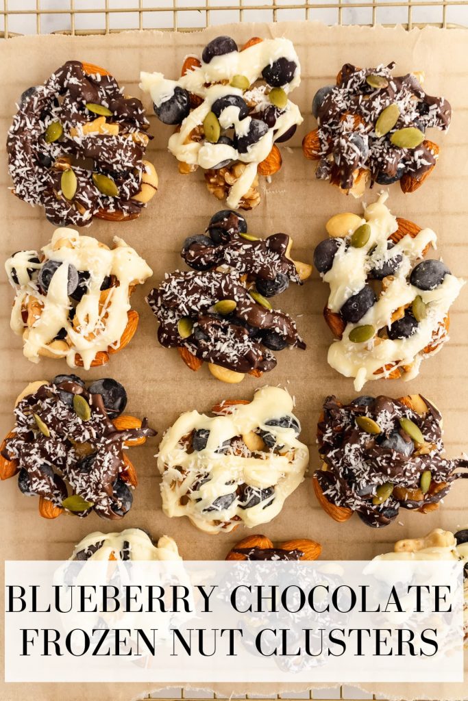 blueberry chocolate frozen nut clusters