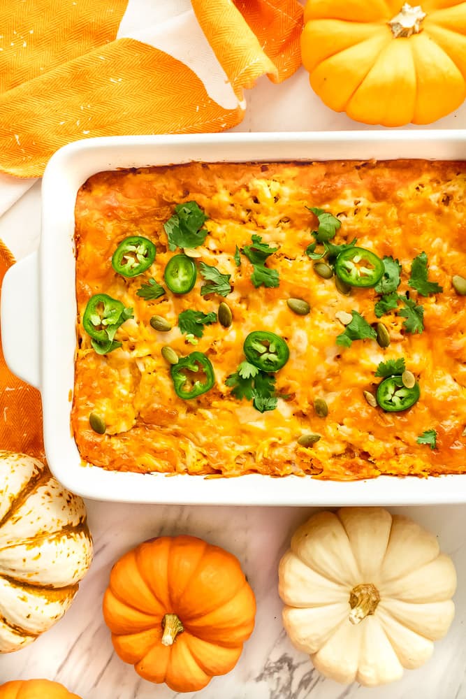 chicken and pumpkin puree recipes