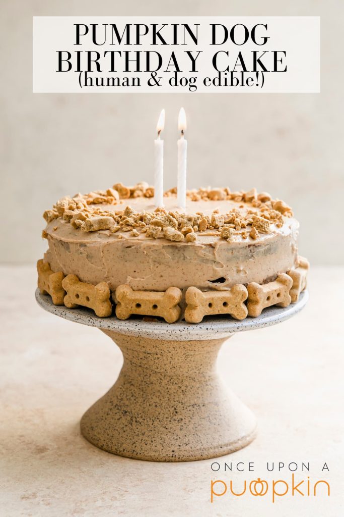 Dog Birthday Cake for Humans and Dogs