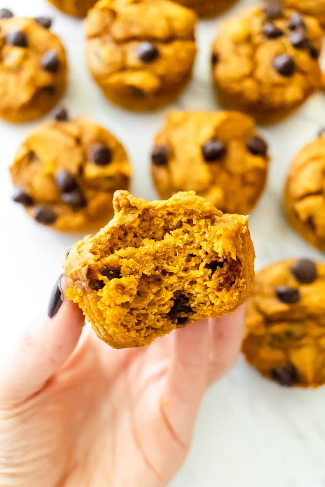 healthy pumpkin chocolate chip muffins