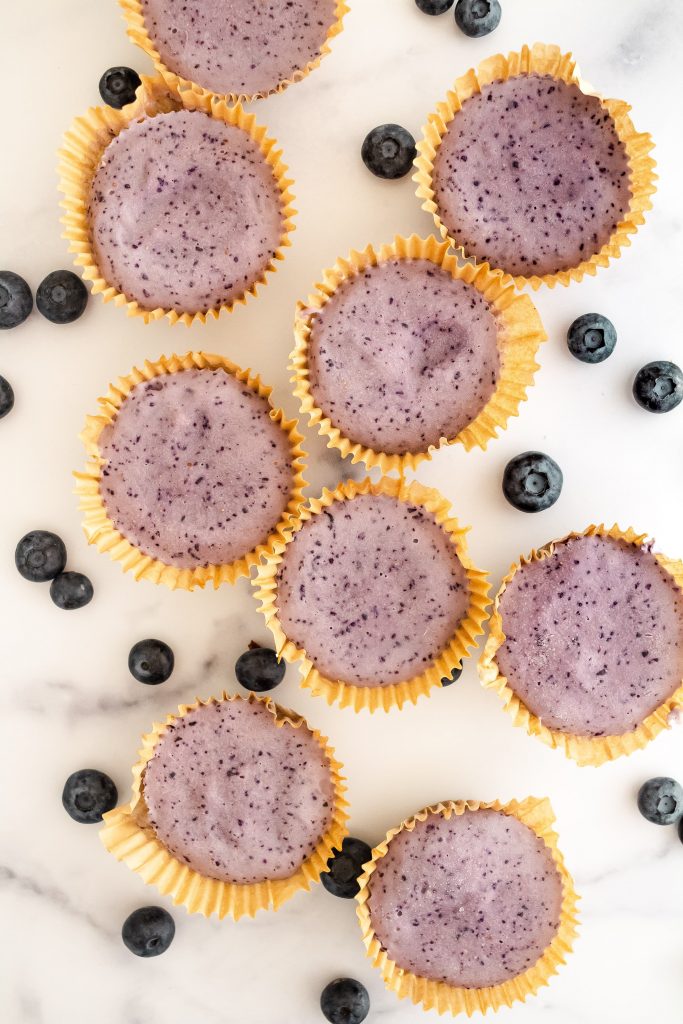 healthy no bake blueberry cheesecakes