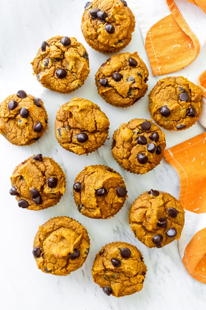 pumpkin chocolate chip muffins
