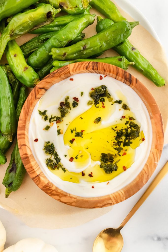 herby yougurt sauce made with green onion, cilantro and olive oil