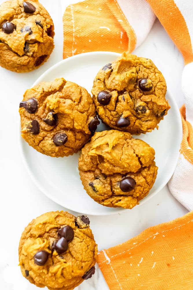 pumpkin chocolate chip muffins