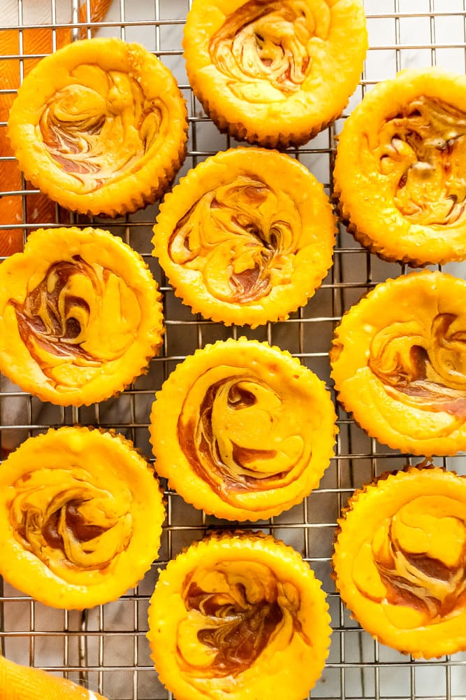 how to make mini pumpkin cheesecakes 