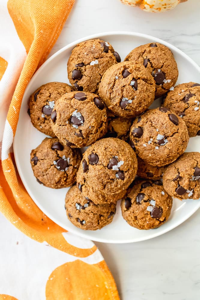 paleo pumpkin chocolate chip cookies