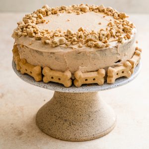 pumpkin dog cake for humans too