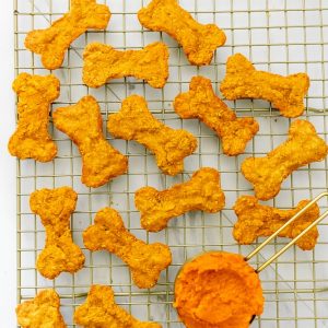 pumpkin-peanut-butter-dog-treats-1