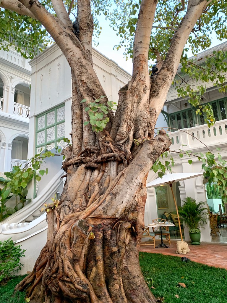 The Inside House Chiang Mai Thailand