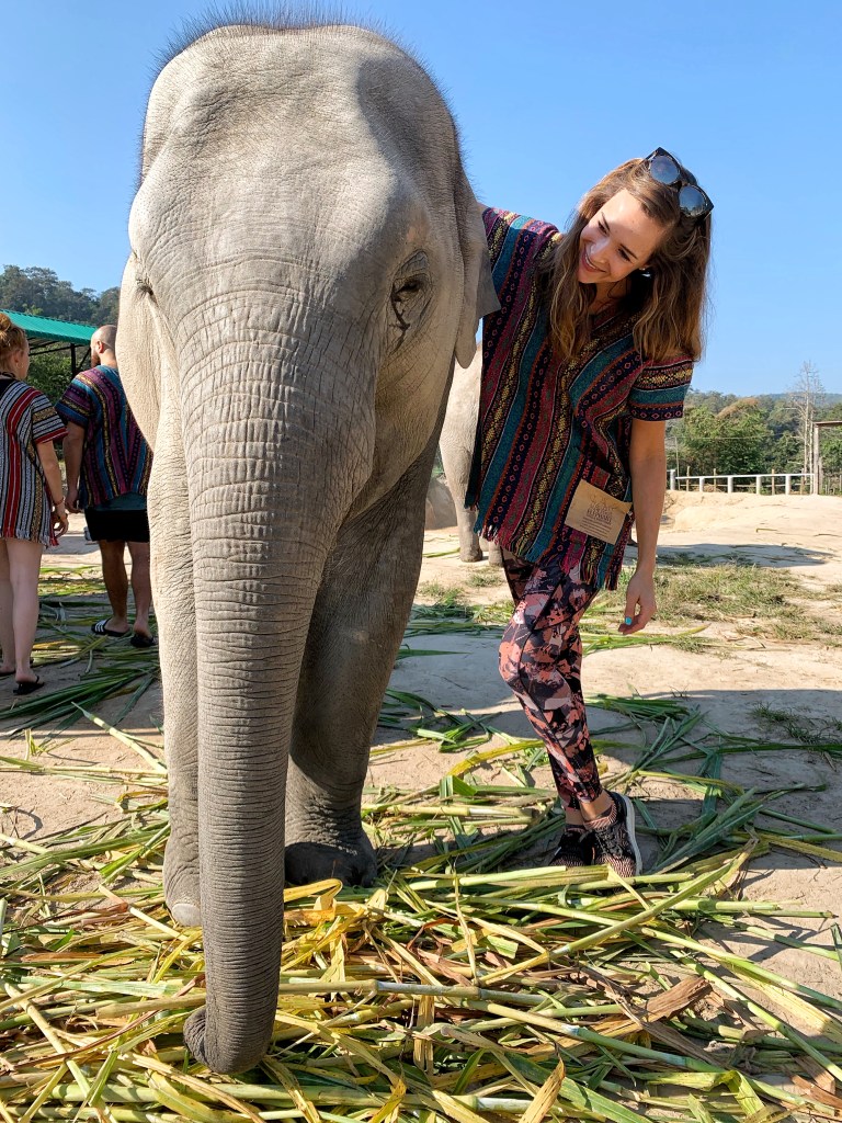 Elephant Sanctuary in Chiang Mai Thailand