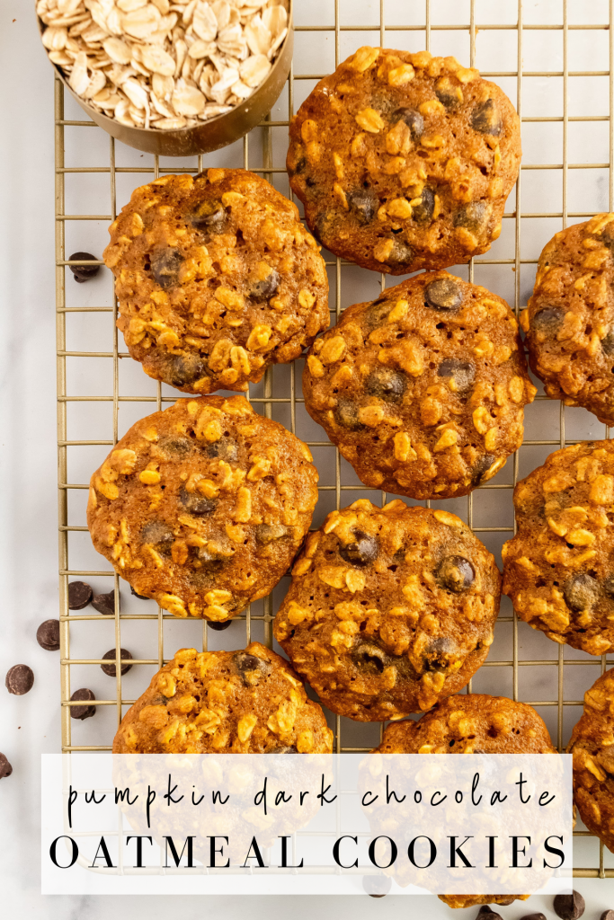 healthy pumpkin dark chocolate oat cookies 