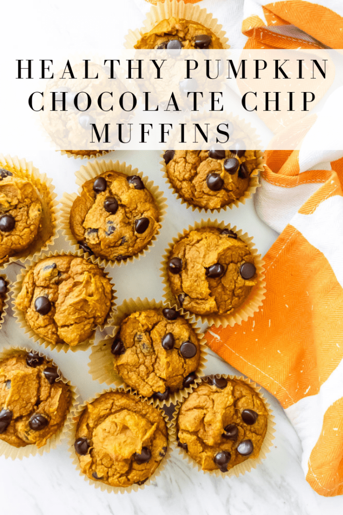 pumpkin chocolate chip muffins